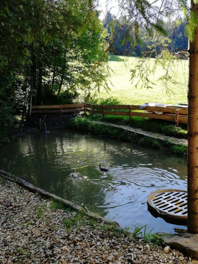 Ferienhaus Am Waldrand Von Egg Bregenzer Wald Exteriér fotografie