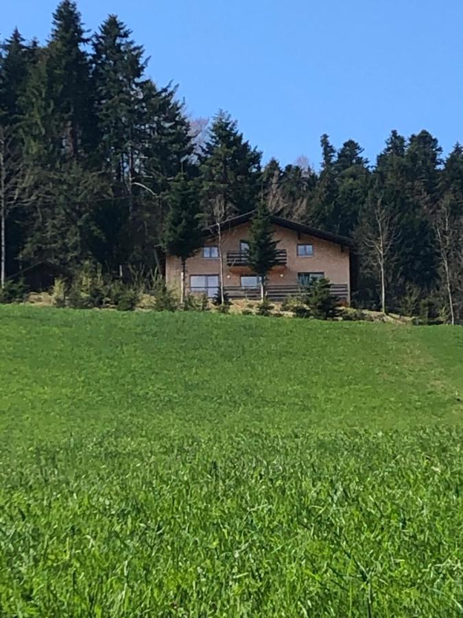 Ferienhaus Am Waldrand Von Egg Bregenzer Wald Exteriér fotografie
